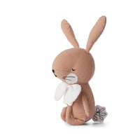 Toys Rabbit Robin Pink in gift box - 18 cm