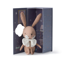 Toys Rabbit Robin Pink in gift box - 18 cm