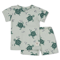 Timmy Turtle - Premium Summerwear by Feetje