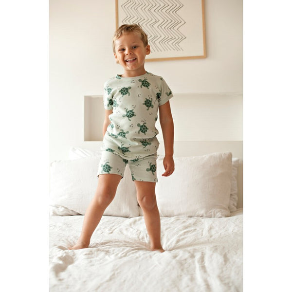 Timmy Turtle - Premium Summerwear by Feetje