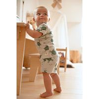 Timmy Turtle - Premium Summerwear by Feetje