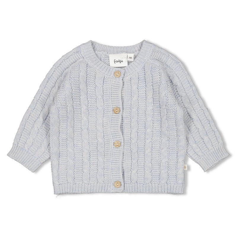 Feetje Vestje gebreid - The Knits Blauw melange