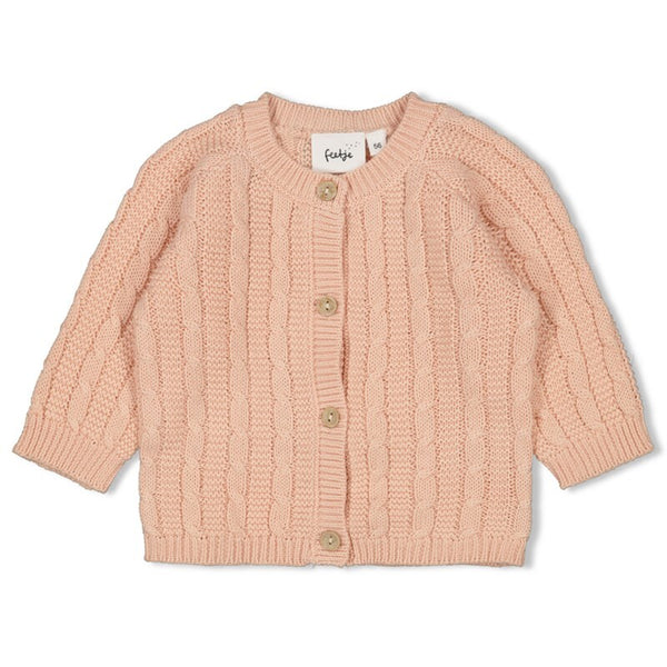 Vestje gebreid - The Knits