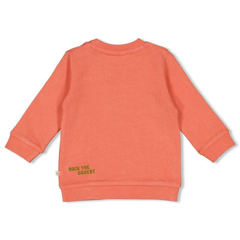 Sweater - Desert Fiesta