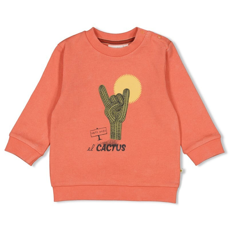 Sweater - Desert Fiesta