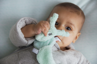 Snoozebaby freddy frolic Misty green