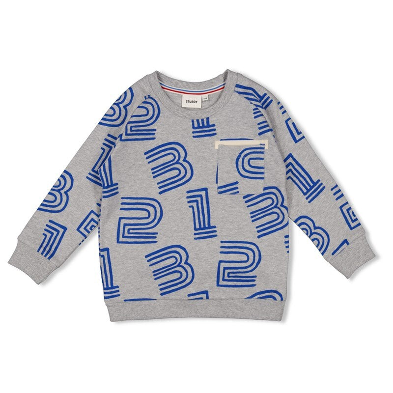 Sweater AOP - Run the Day