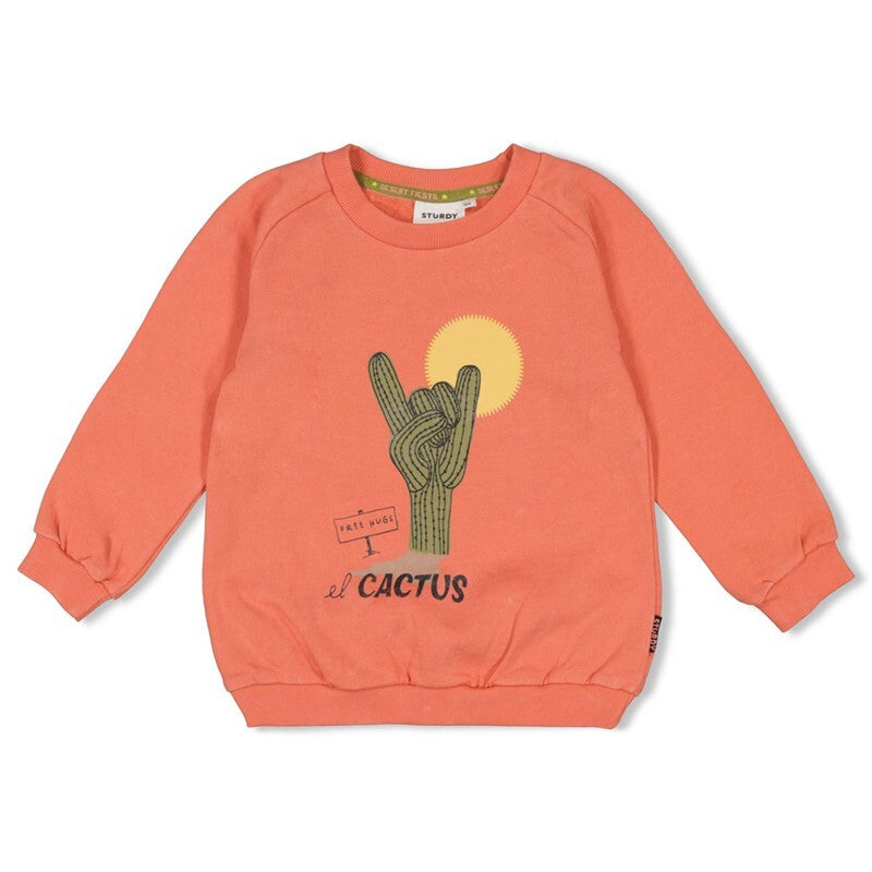 Sturdy Sweater - Desert Fiesta Koraal