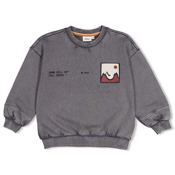 Sweater met backprint oversized - Mountain top