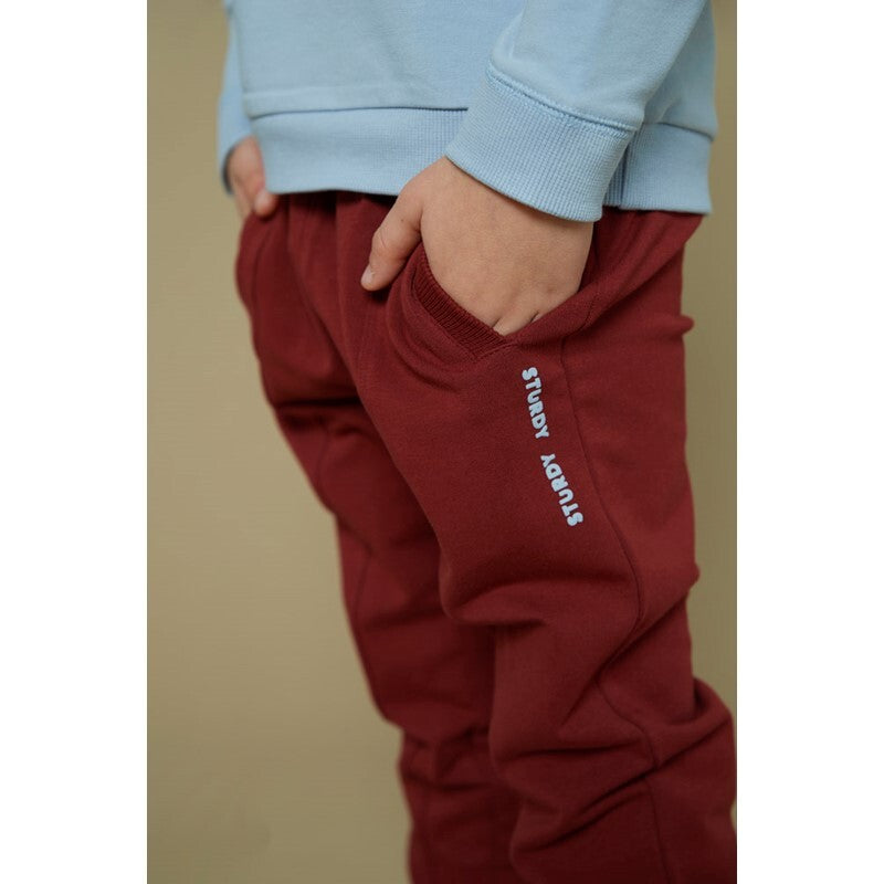 Sturdy Broek - Waves and Whales Bordeaux