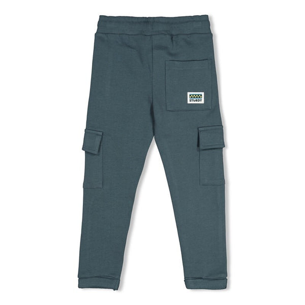 Sturdy Cargo broek - Fix It Petrol