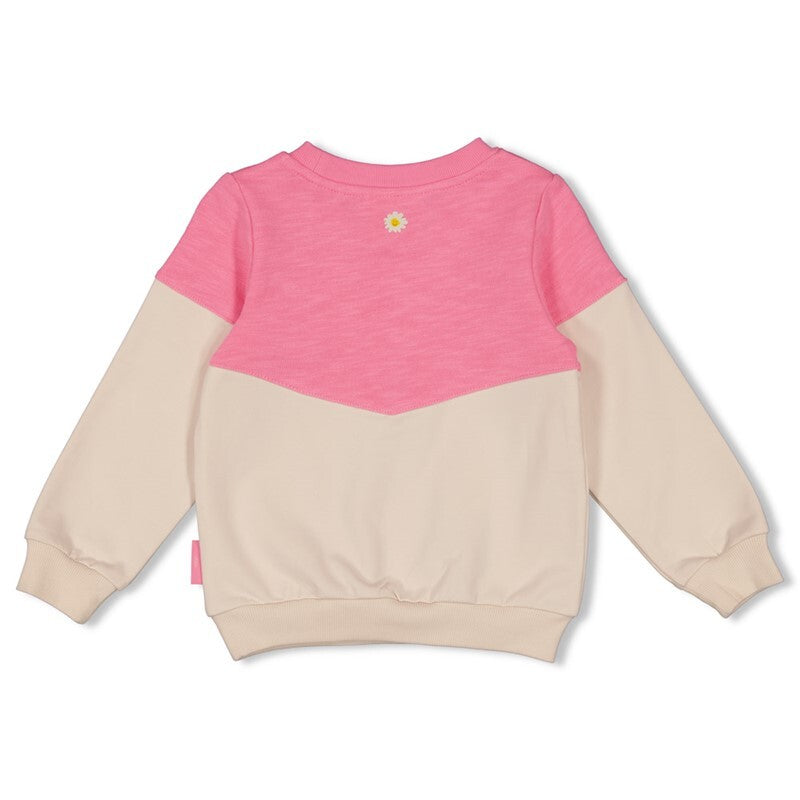 Jubel Sweater - Rolling into Spring Roze