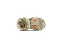 BI25S006-D