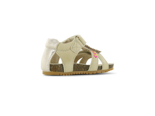 BI25S006-D