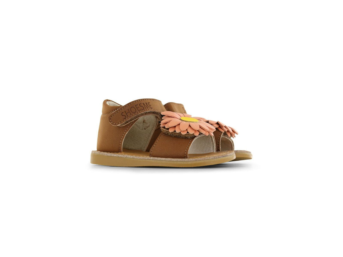 CS26S021-C