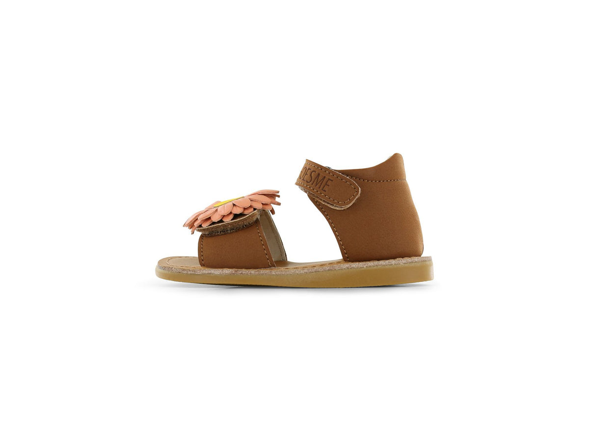 CS26S021-C