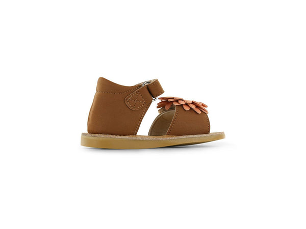 CS26S021-C