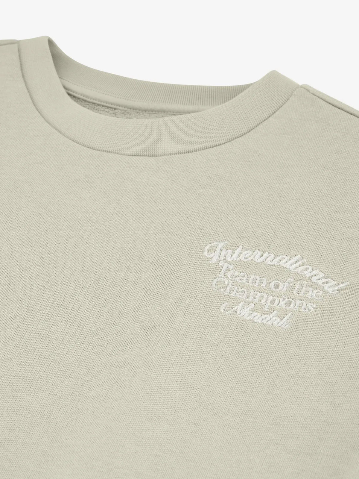 Champion Sweatshirt