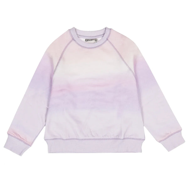 Dolce sweatshirt
