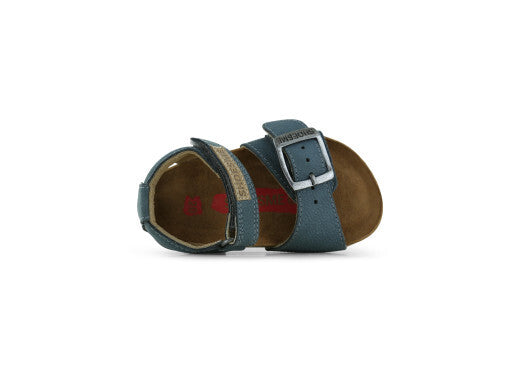 IC23S002-E