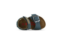 IC23S002-E