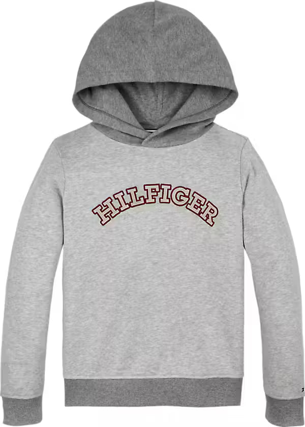 Monotype embroidery reg hoodie