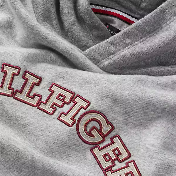 Monotype embroidery reg hoodie