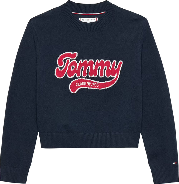 Tommy logo sweater