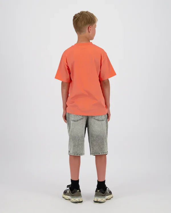 Orlando Regular Short