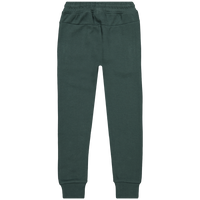 Raizzed Seattle broek Steel green
