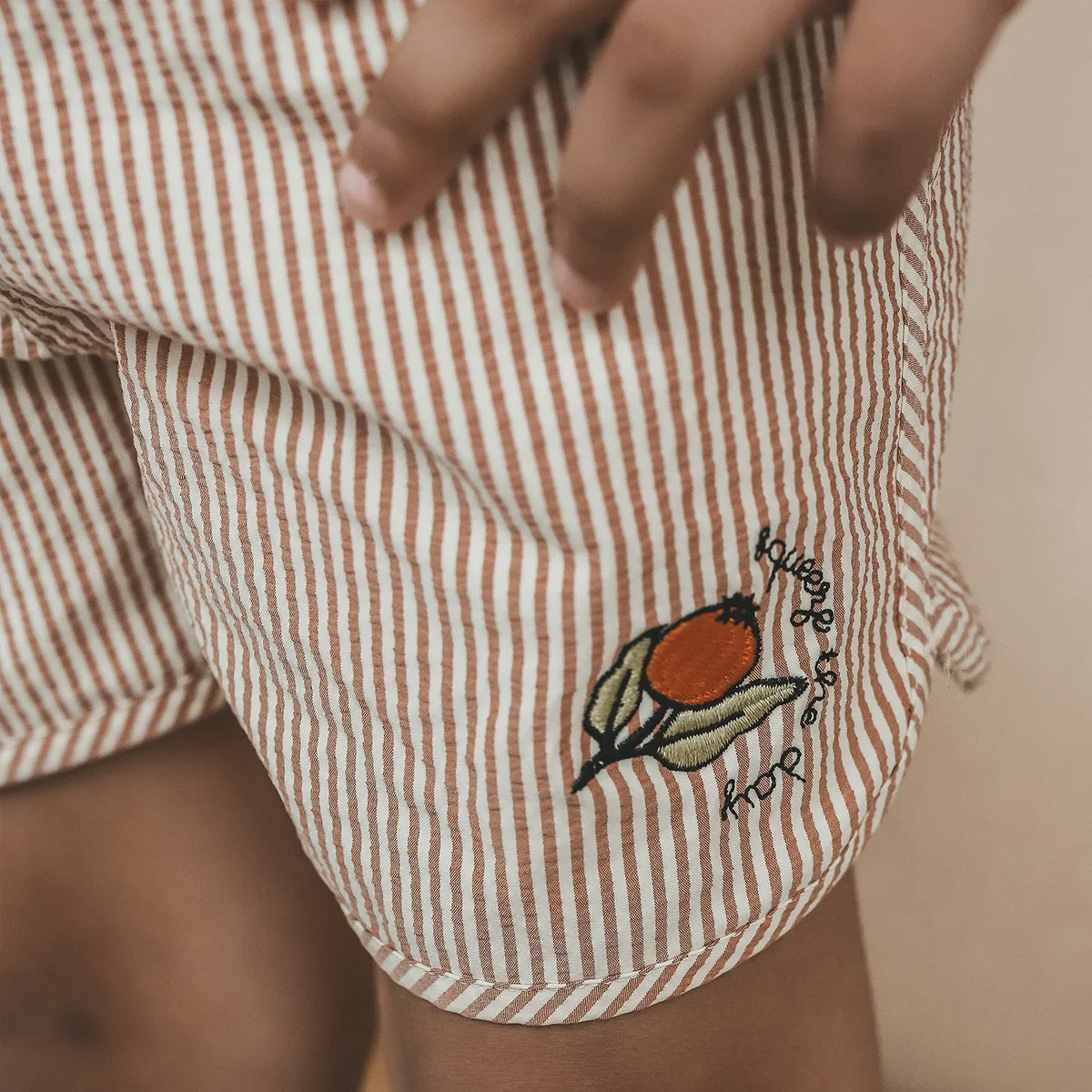 Salted Stories Seersucker | Swim Shorts Bombay brown