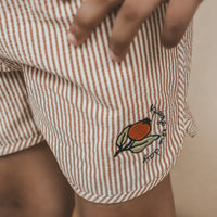 Salted Stories Seersucker | Swim Shorts Bombay brown
