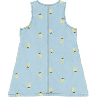 The New Siblings Saja Jeans jurkje Light blue denim emb