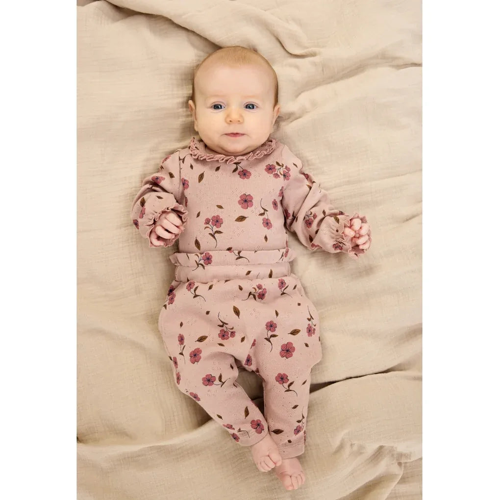 TNSBPicole LS Pointelle Body