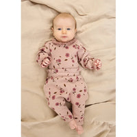 TNSBPicole LS Pointelle Body