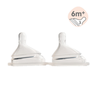 Teat Fast Flow 6M+ (2pck)