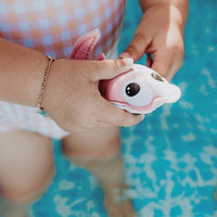 Duik buddies sea animals (3st)