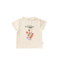 Fresa | Shortsleeve
