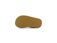 CS26S006-B