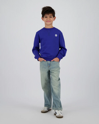 Raizzed Hanoi baggy jeans Light blue stone
