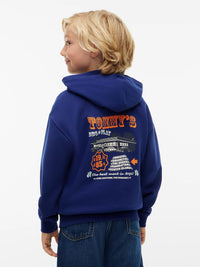 Tommy Hilfiger Graphic hoodie Blue ink