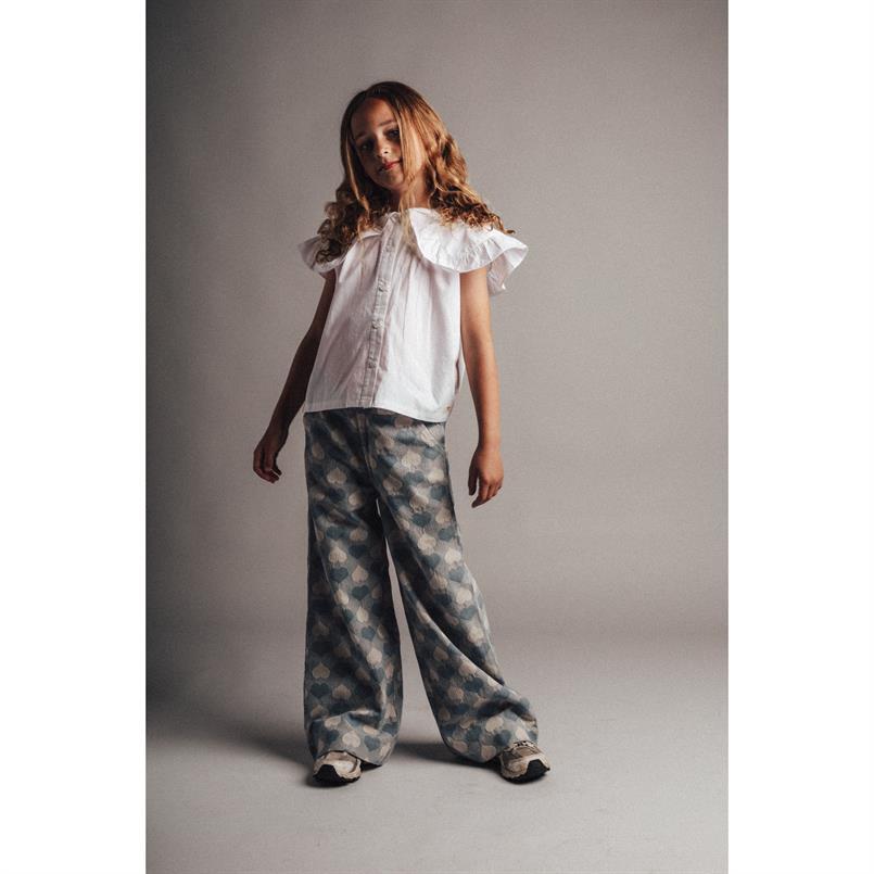 Luus broek