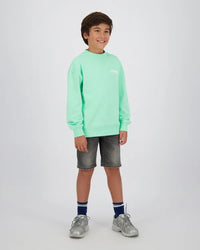 Vingino Icon-crewneck Sweater Fresh mint