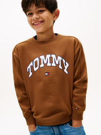 Varsity raised print sweater