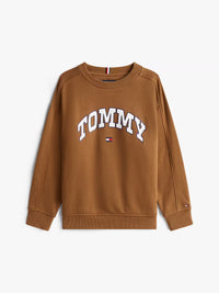 Varsity raised print sweater