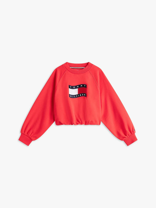 Tommy wave flag crewneck sweater