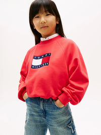 Tommy wave flag crewneck sweater