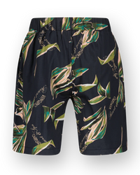 Rexi Short