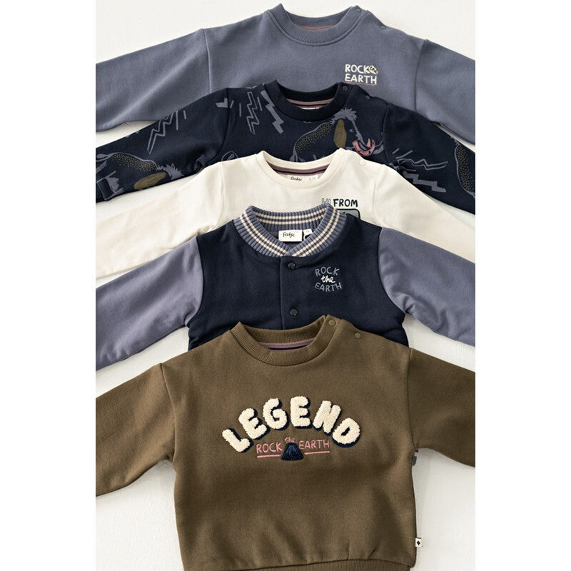 Longsleeve met backprint - Rock the Earth