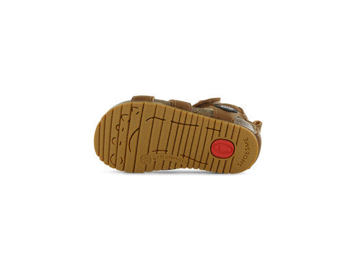 BI25S008-C
